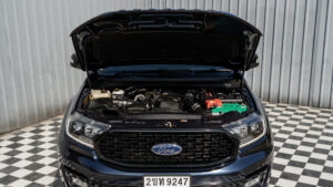 Ford Everest (33)